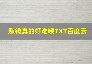 赚钱真的好难哦TXT百度云