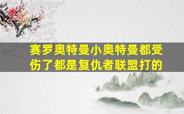 赛罗奥特曼小奥特曼都受伤了都是复仇者联盟打的