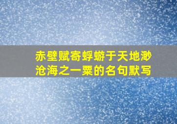 赤壁赋寄蜉蝣于天地渺沧海之一粟的名句默写