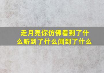 走月亮你仿佛看到了什么听到了什么闻到了什么