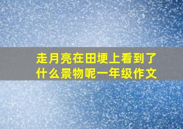 走月亮在田埂上看到了什么景物呢一年级作文