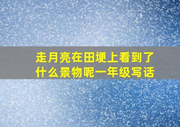 走月亮在田埂上看到了什么景物呢一年级写话