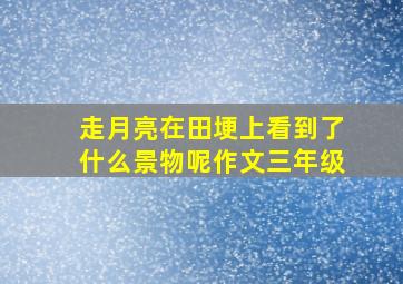 走月亮在田埂上看到了什么景物呢作文三年级