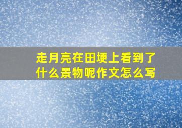 走月亮在田埂上看到了什么景物呢作文怎么写