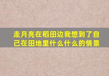 走月亮在稻田边我想到了自己在田地里什么什么的情景