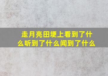 走月亮田埂上看到了什么听到了什么闻到了什么