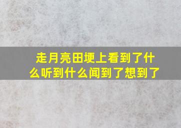 走月亮田埂上看到了什么听到什么闻到了想到了