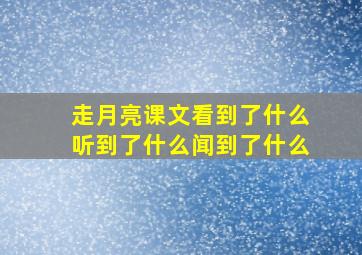 走月亮课文看到了什么听到了什么闻到了什么