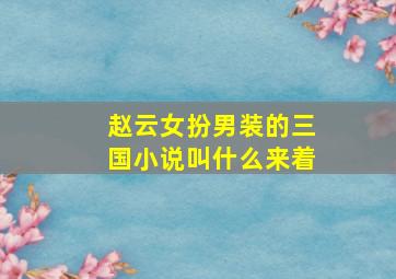 赵云女扮男装的三国小说叫什么来着