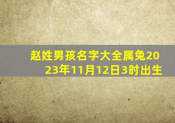 赵姓男孩名字大全属兔2023年11月12日3时出生