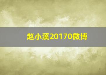 赵小溪20170微博