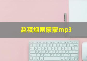 赵薇烟雨蒙蒙mp3