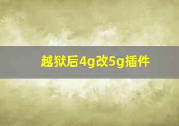 越狱后4g改5g插件