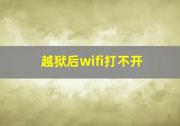 越狱后wifi打不开