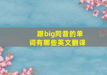 跟big同音的单词有哪些英文翻译