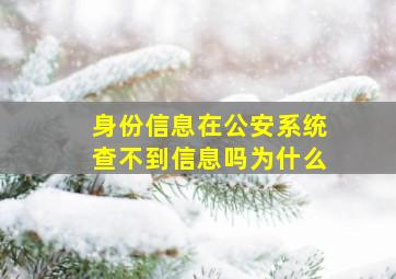 身份信息在公安系统查不到信息吗为什么