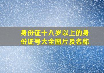 身份证十八岁以上的身份证号大全图片及名称