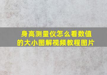 身高测量仪怎么看数值的大小图解视频教程图片