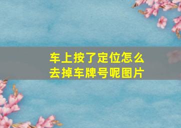 车上按了定位怎么去掉车牌号呢图片