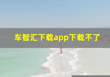 车智汇下载app下载不了