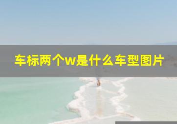 车标两个w是什么车型图片