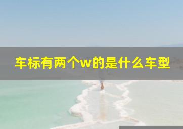 车标有两个w的是什么车型