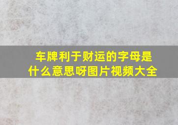 车牌利于财运的字母是什么意思呀图片视频大全