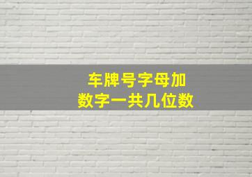 车牌号字母加数字一共几位数