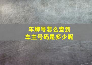 车牌号怎么查到车主号码是多少呢