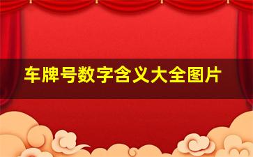 车牌号数字含义大全图片