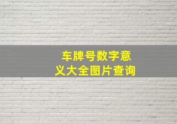 车牌号数字意义大全图片查询