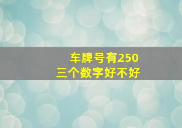 车牌号有250三个数字好不好