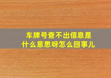 车牌号查不出信息是什么意思呀怎么回事儿