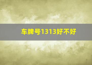 车牌号1313好不好