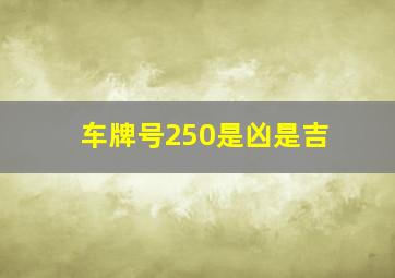 车牌号250是凶是吉