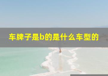 车牌子是b的是什么车型的