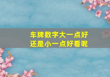 车牌数字大一点好还是小一点好看呢