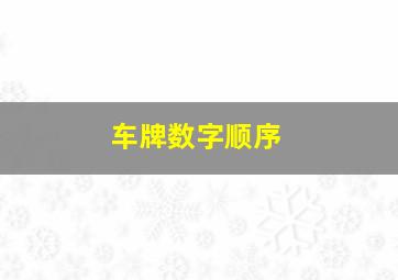 车牌数字顺序