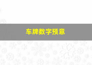 车牌数字预意