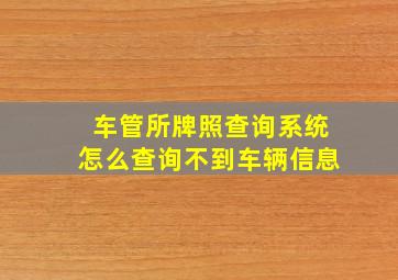 车管所牌照查询系统怎么查询不到车辆信息