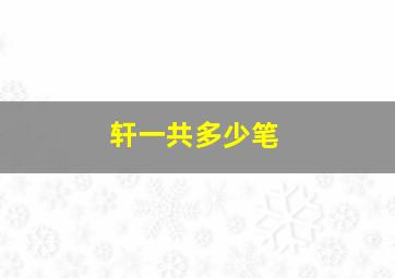 轩一共多少笔