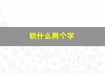 软什么两个字