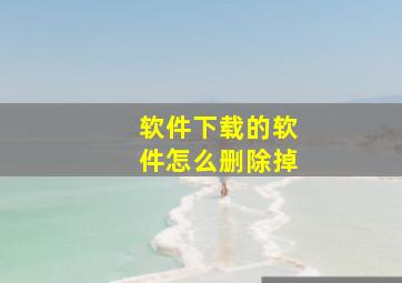 软件下载的软件怎么删除掉