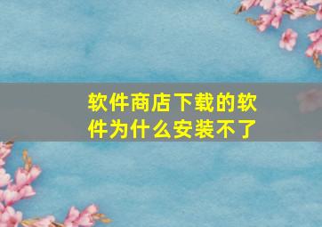 软件商店下载的软件为什么安装不了