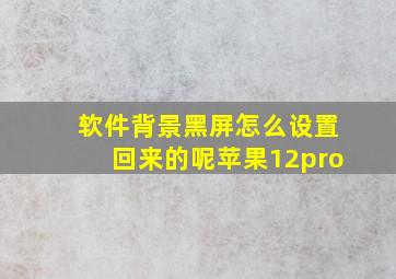 软件背景黑屏怎么设置回来的呢苹果12pro