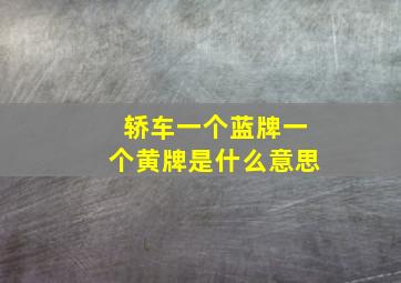 轿车一个蓝牌一个黄牌是什么意思