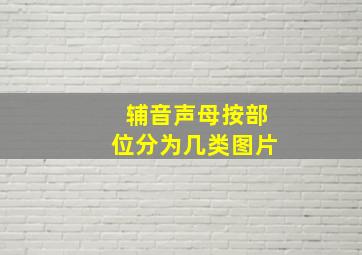 辅音声母按部位分为几类图片