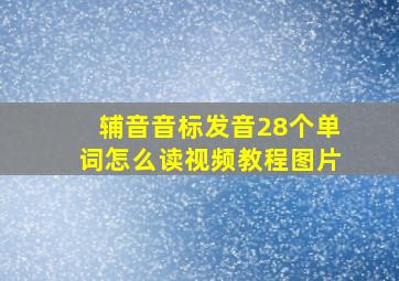 辅音音标发音28个单词怎么读视频教程图片