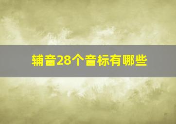 辅音28个音标有哪些