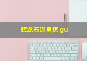 辉龙石哪里挖 gu